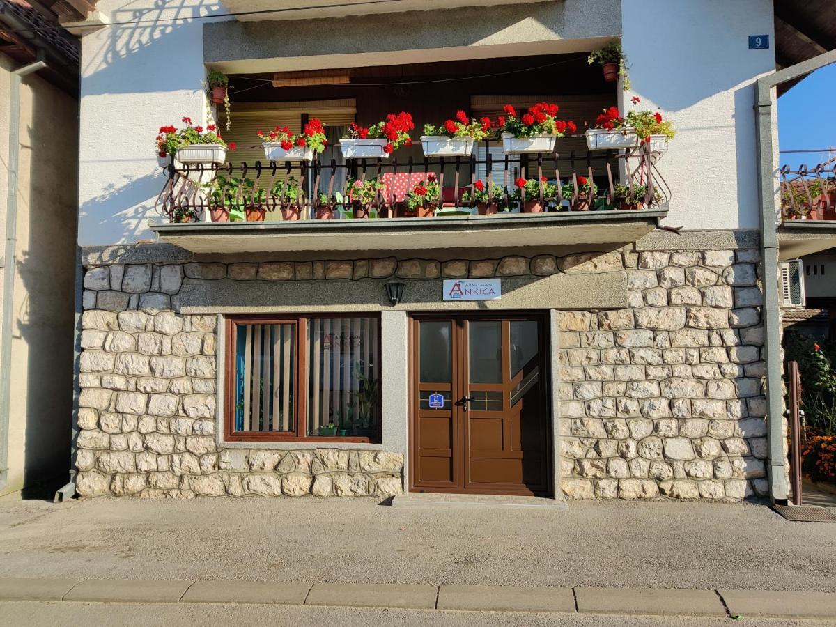 Apartman Ankica Golubac Bagian luar foto